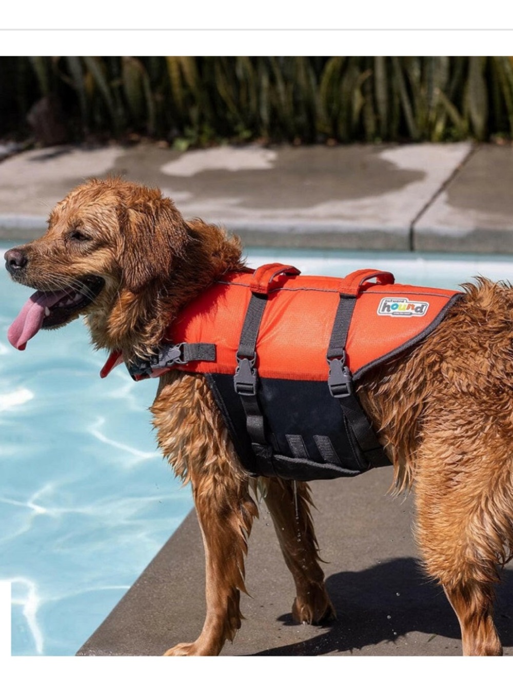 NWT Outward Hound Dog Life Jacket (Large) Bright Orange